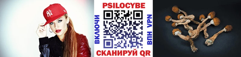 Галлюциногенные грибы MAGIC MUSHROOMS Фурманов